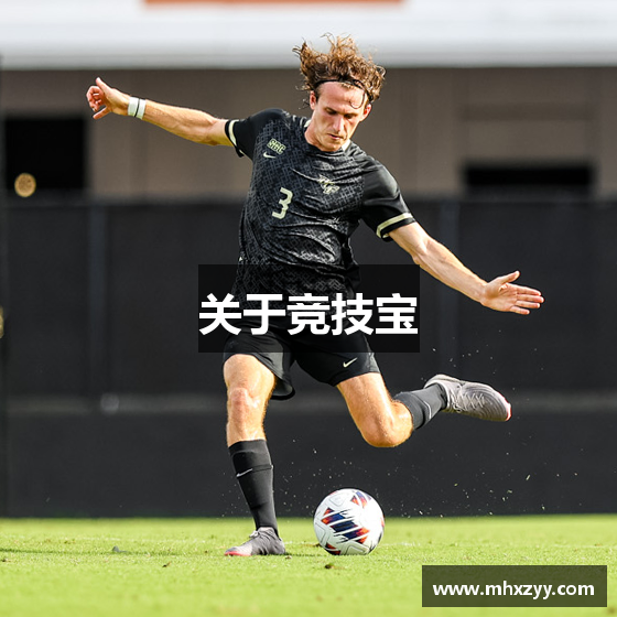 关于竞技宝
